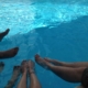 Mittagspause am Pool auf dem WordCamp Europe