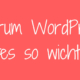 Warum WordPress-Updates so wichtig sind!