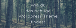 Wie du das richtige WordPress Theme findest